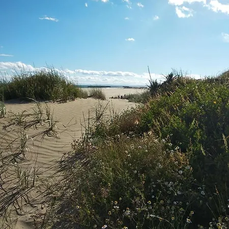 Parc Des 7 Fonts 营地