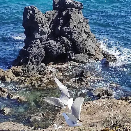 营地 Parc Des 7 Fonts 阿格德