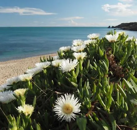 Parc Des 7 Fonts 营地 阿格德