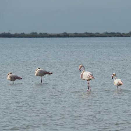 营地 Parc Des 7 Fonts *