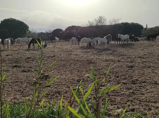 Parc Des 7 Fonts * Agde