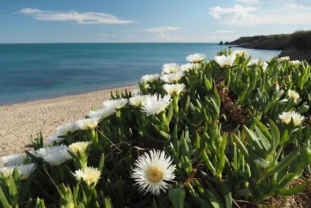 Parc Des 7 Fonts Campeggio Agde