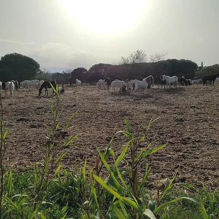 Parc Des 7 Fonts * Agde