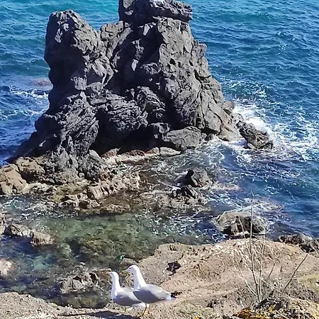 Parc Des 7 Fonts Campeggio *