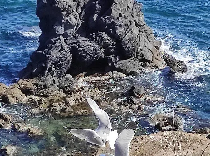 キャンプ場 Parc Des 7 Fonts アグド