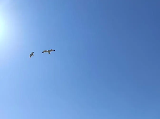 キャンプ場 Parc Des 7 Fonts