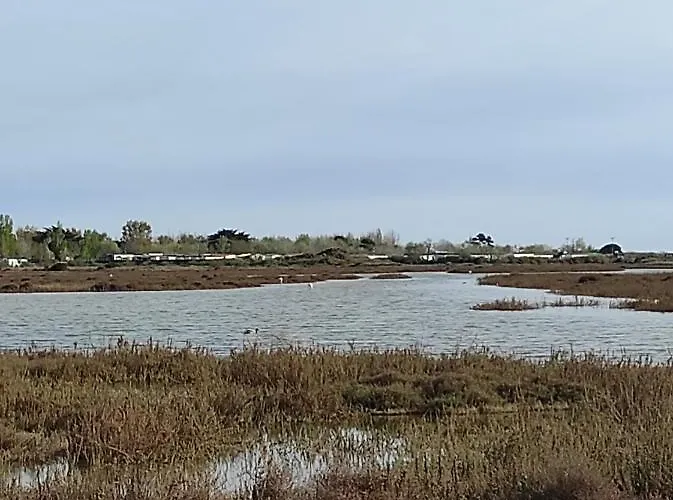 Parc Des 7 Fonts アグド