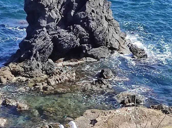 Parc Des 7 Fonts キャンプ場 *