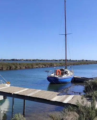 Parc Des 7 Fonts キャンプ場 アグド