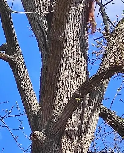 キャンプ場 Parc Des 7 Fonts